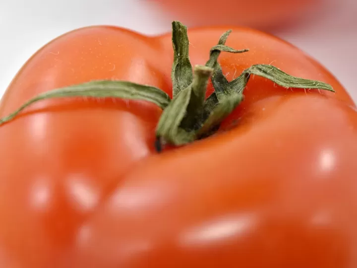 puede se puede congelar el tomate triturado